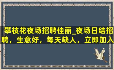 白银夜场招聘